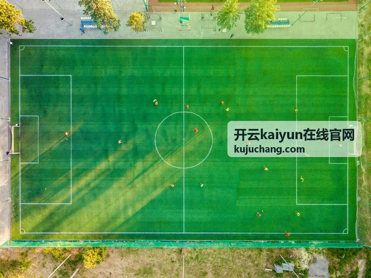 开云kaiyun在线官网知识类清单条目封面